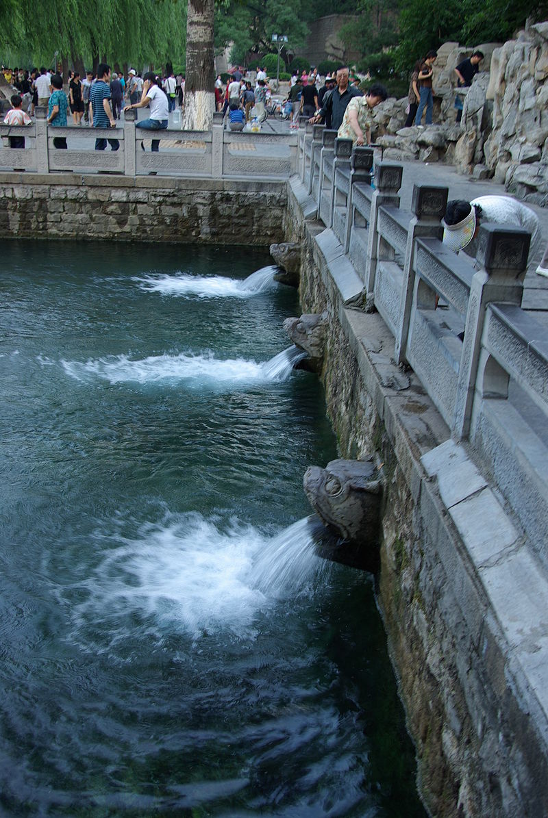 150157680915493.jpg 800px-Black_tiger_spring.jpg